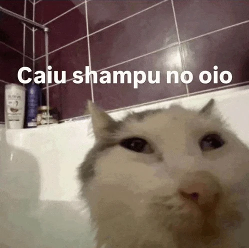 Meu Oio Caiu Shampo Meme
