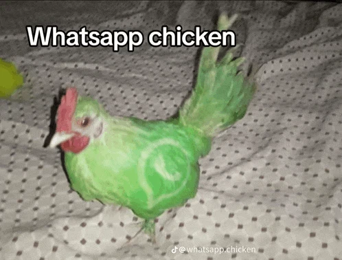 Whatsapp Logo Meme