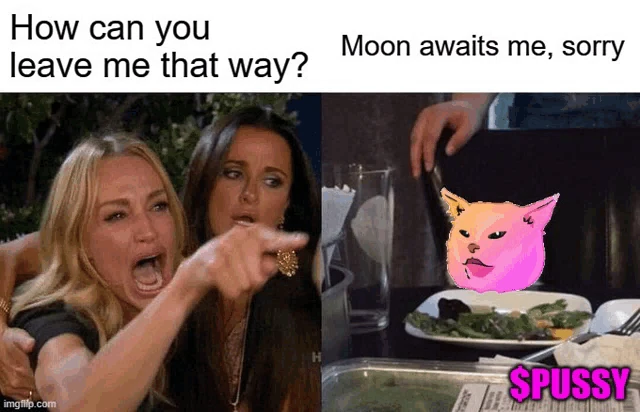 Pussy Pussyfinancial Meme