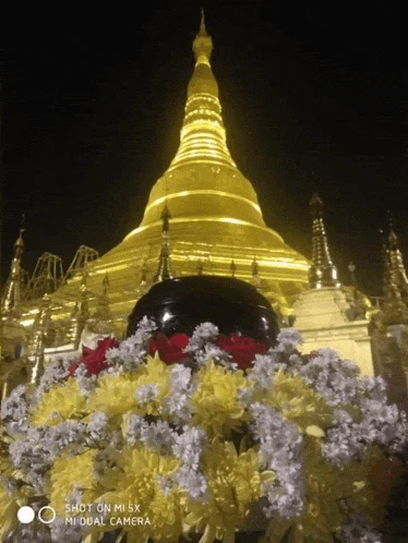 Buddha ဗုဒ္ဓ Meme