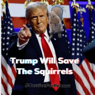 Trump Donald Trump Meme