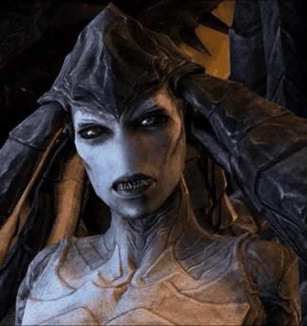 Starcraft Meme