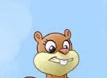 Sandy Cheeks Wwell Meme