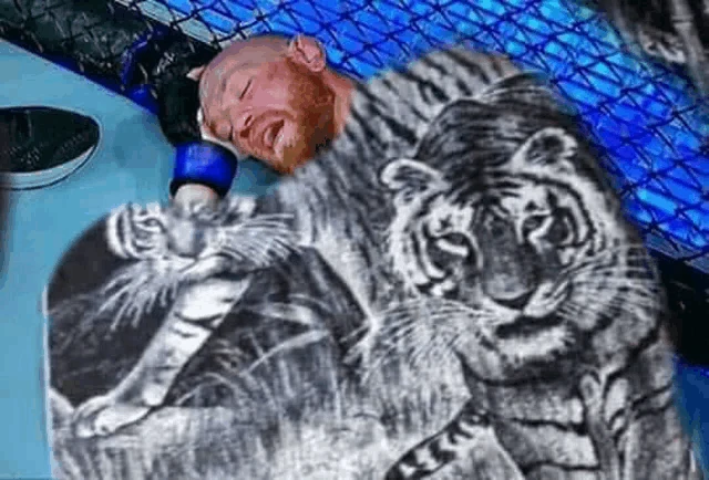 Mcgregor Mcgregor Ko Meme