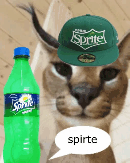 Sergei Skoropadski Serg Meme