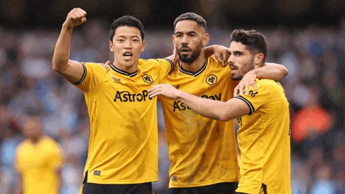 Wwfc Hwang Meme