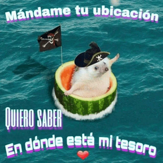 Mi Tesoro Meme