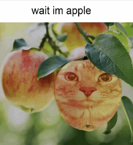 Apple Meme
