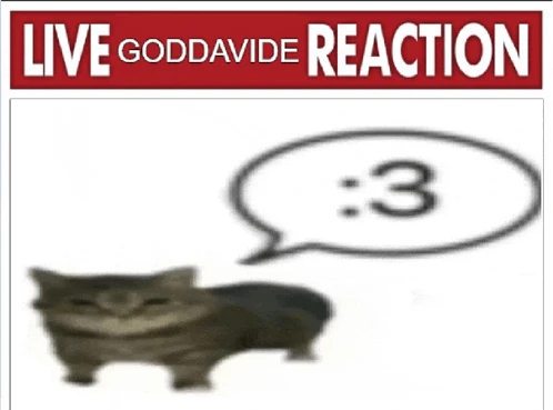 David Meme