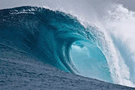 Ocean Meme