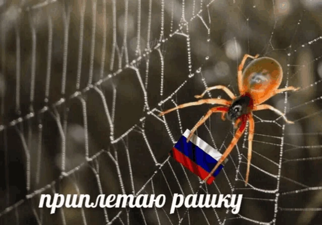 Russia Meme