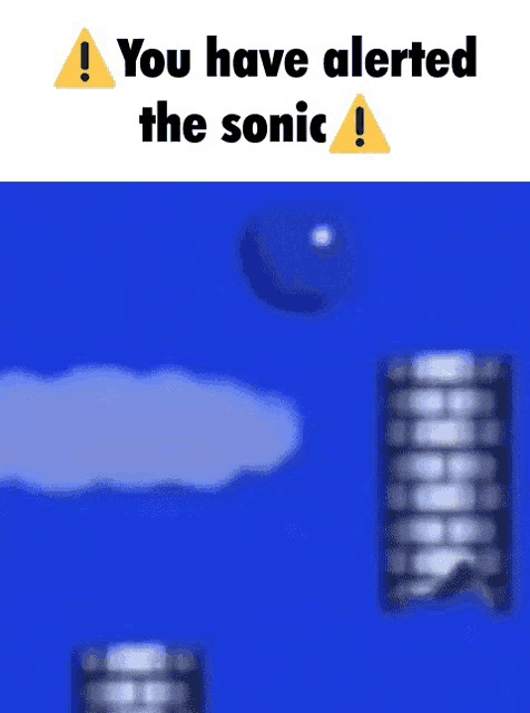 You Have Alerted The Sonic Alerted Sonic Meme