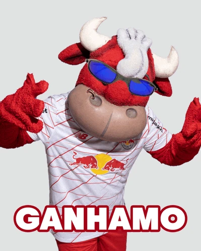 Ganhamo Toro Loko Meme