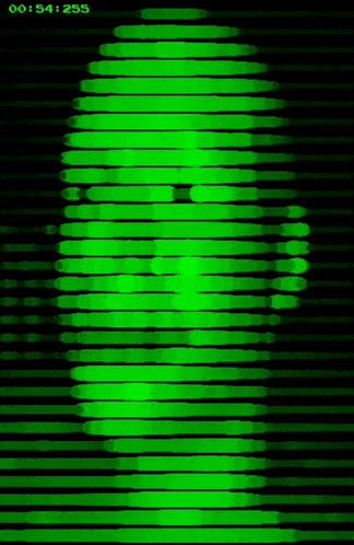 Lidar Felipe Meme