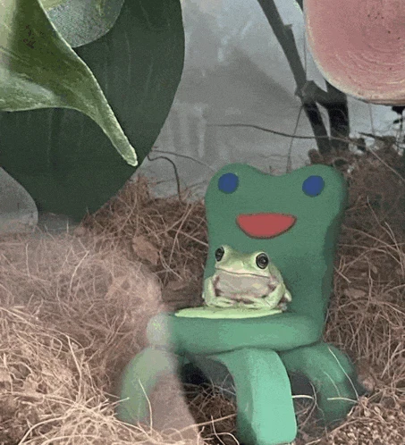 Frog Chair Meme