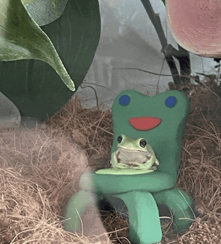 Frog Chair Meme