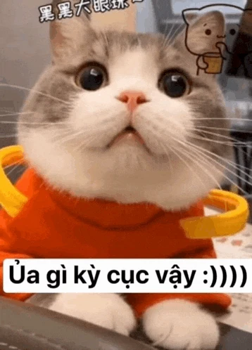 05 Meme