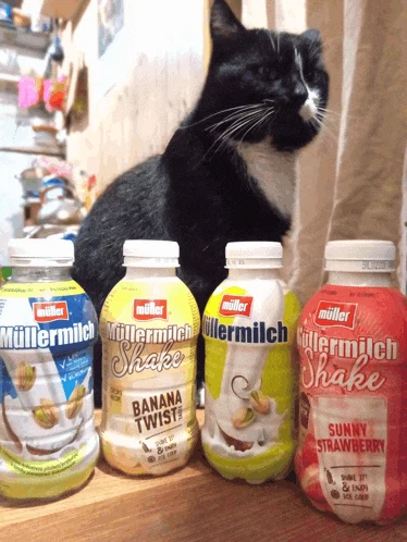 Mullermilch Müllermilch Meme