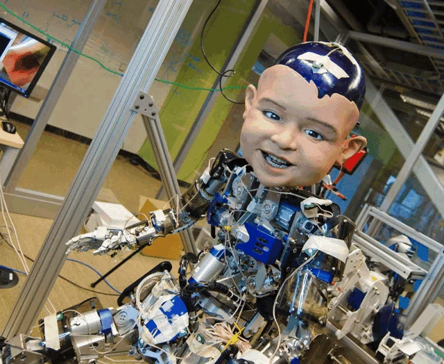 Robot Boy Meme