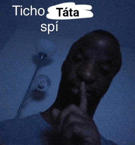 Ticho Tata Spi Meme