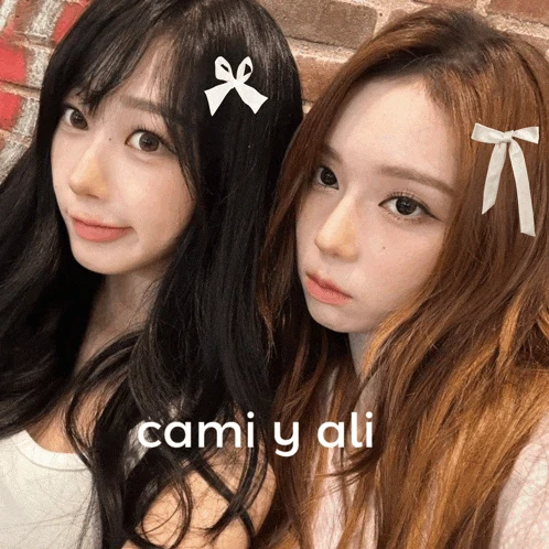 Cami Y Ali Giselle Y Winter Meme
