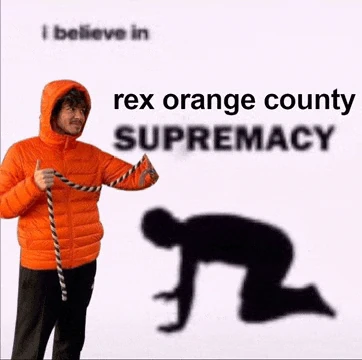 Rex Orange County Meme