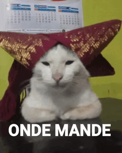 Onde Mande Kucing Meme