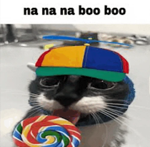 Na Na Na Boo Boo Meme