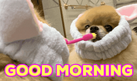 Good Morning Puppy Brushing Teeth