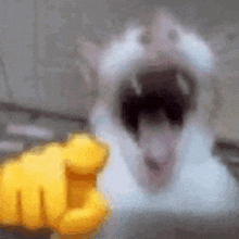GIF