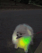 GIF