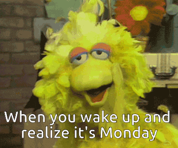 Big Bird Monday