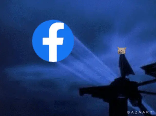 Funny Bat Cat Facebook Meme