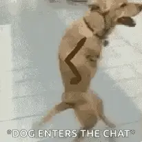 Dog Waving with Drawn Arms – funny pictures meme GIF free download no watermark 2026
