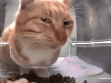 GIF uploaded by Akshay