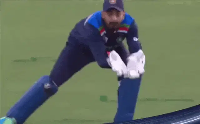 KL Rahul Wicket Appeal