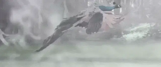 Latest Samantha GIF