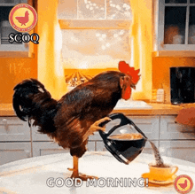 GIF