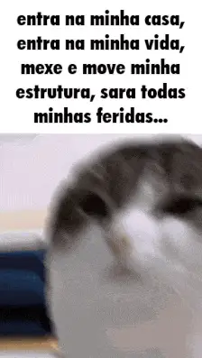 Oh The Misery Cat: Entra Na Minha Casa