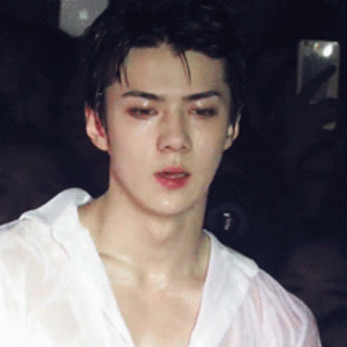 GIF 이미지