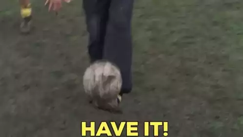 Peter Kay Have It - Football Field