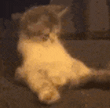GIF