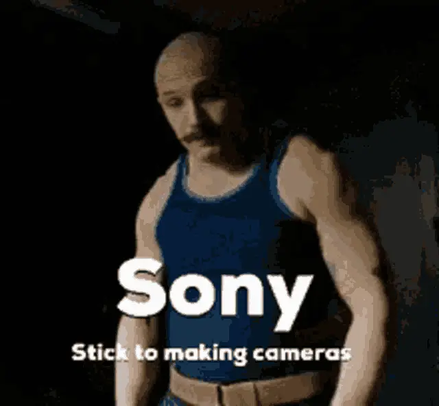 Sony: Stick to Making Cameras Meme