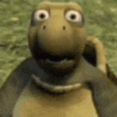 Huh Shocked Turtle Meme