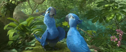Rio: Blue Macaws in the Jungle