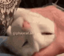 GIF Neelesh tarapyndan ýüklenen