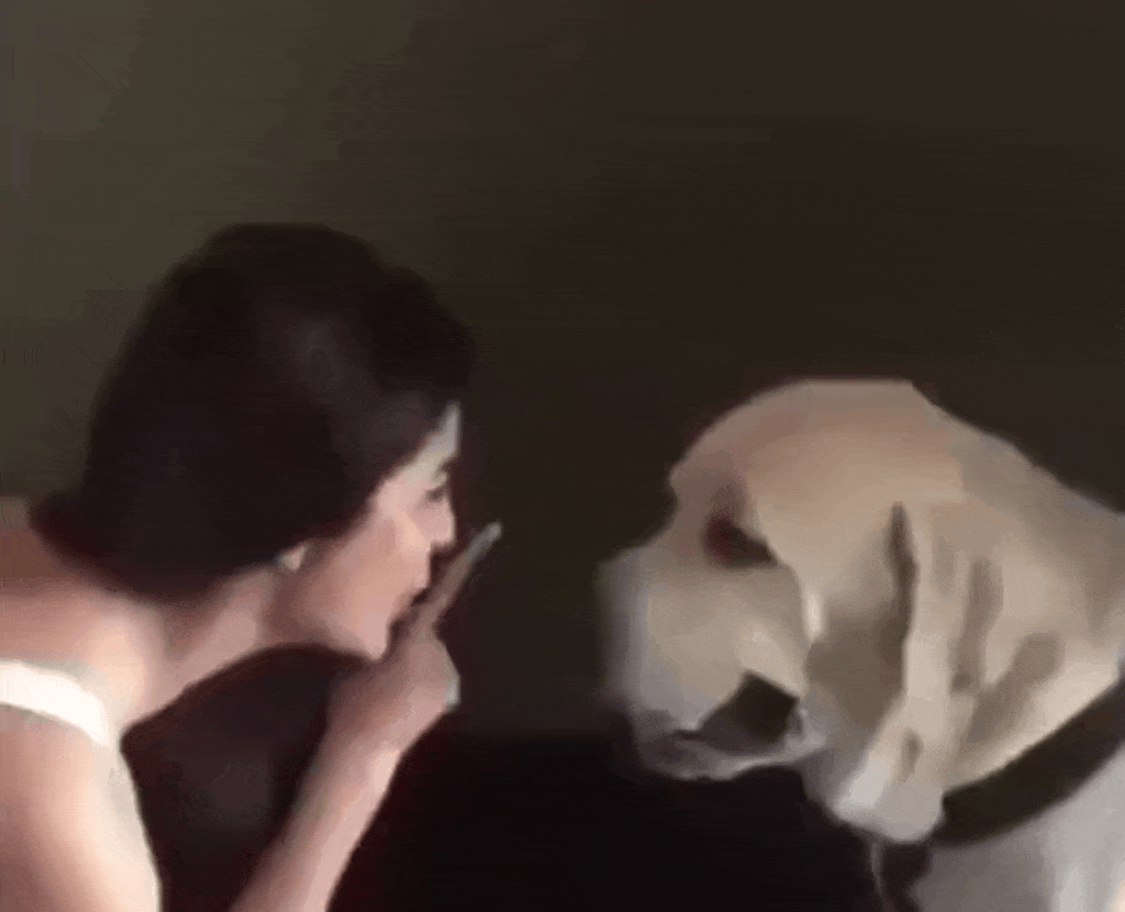 Every Dog Has a Day Warning