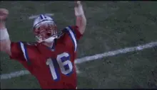 Shane Falco