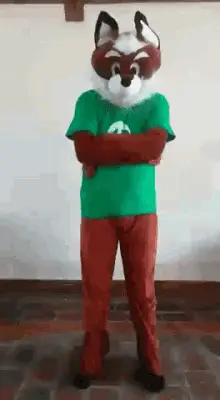 Gofoxbox Solala