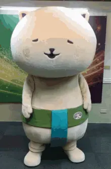 Cat Sorry